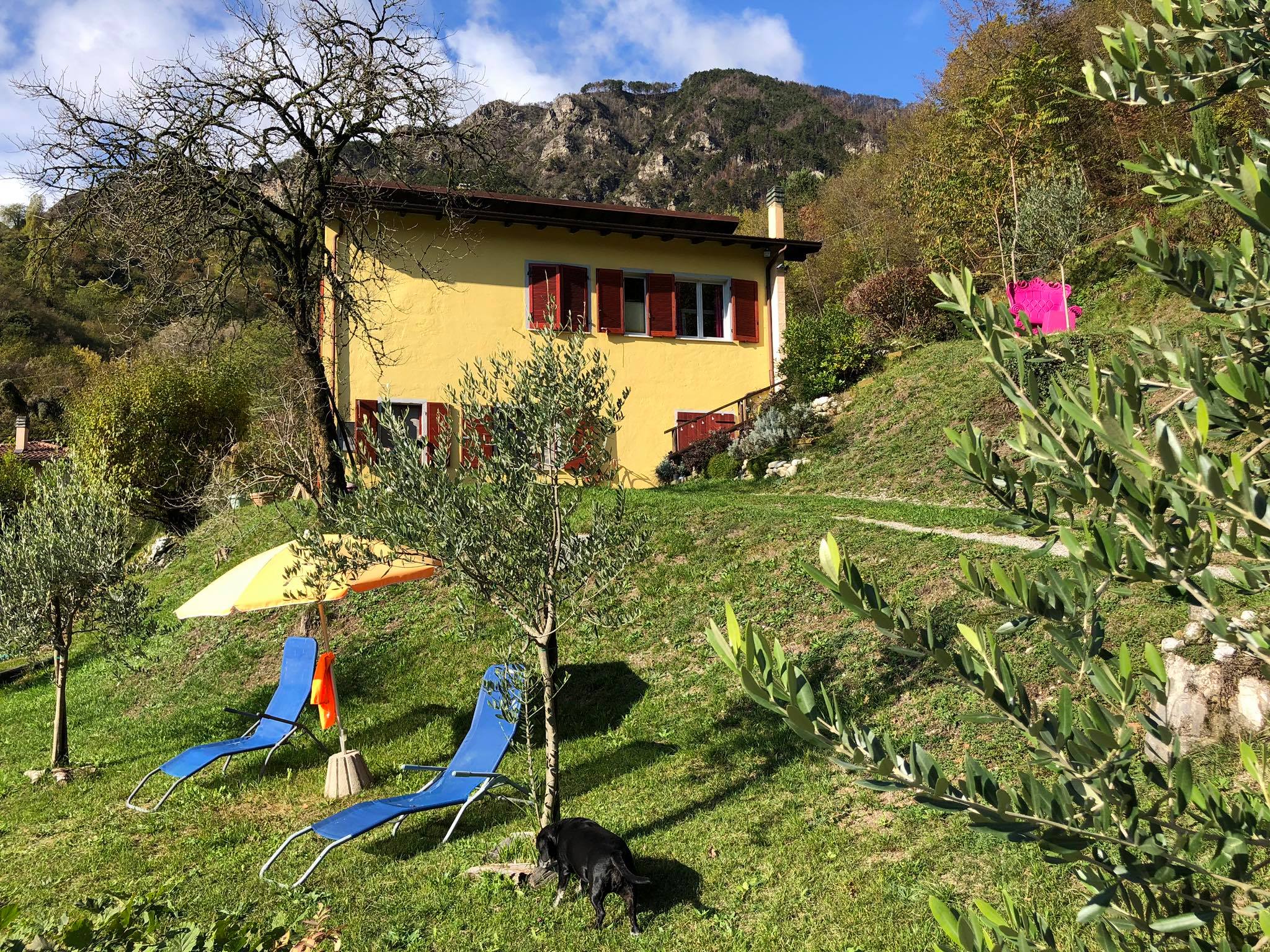 Villa mit Hund und Olivenbäumen