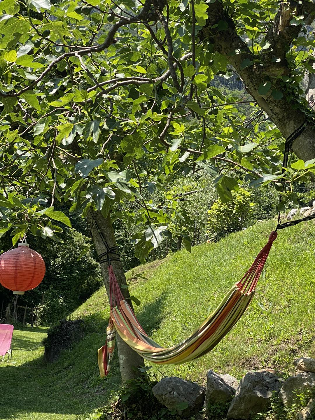 Hängematte im Garten