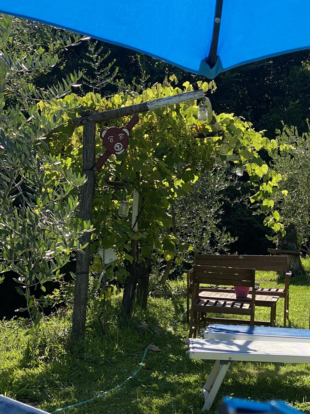 Pergola im Garten